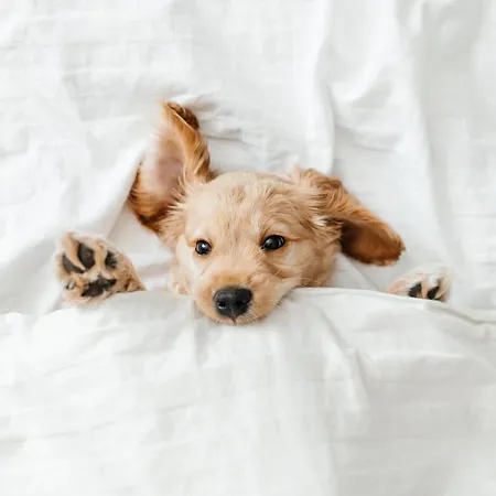 Pestana Vintage Center Отель Лиссабон